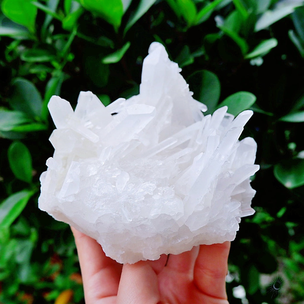 Clear Quartz Cluster with tall points from Brazil for mindful living