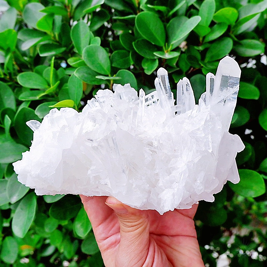 Ethically sourced crystal Clear Quartz Cluster from Brazil with white clear points