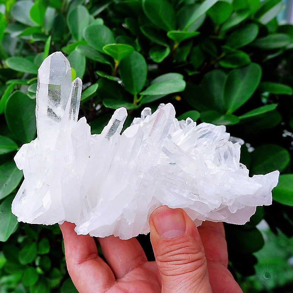 Clear Quartz Cluster from Brazil with white clear points